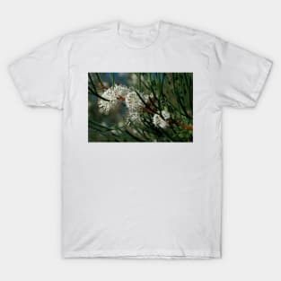 Hakea With Bee T-Shirt